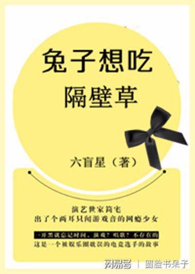 娱乐吃瓜外交小说推荐